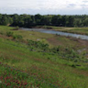 Meet your Posher, Brandie